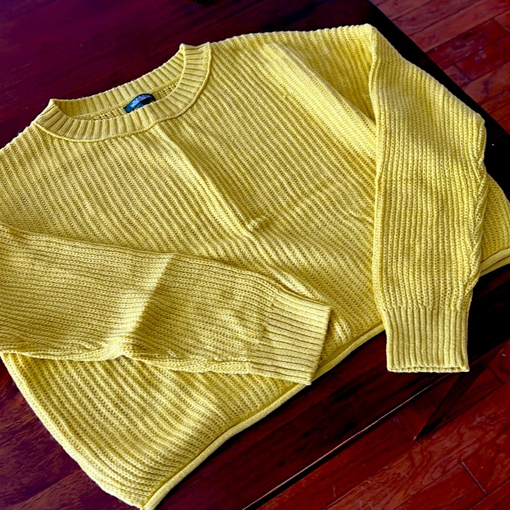 Wild fable sweater